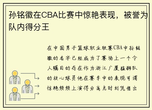 孙铭徽在CBA比赛中惊艳表现，被誉为队内得分王